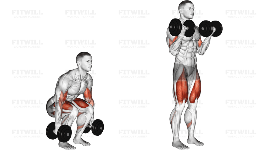 Dumbbell Biceps Curl Squat