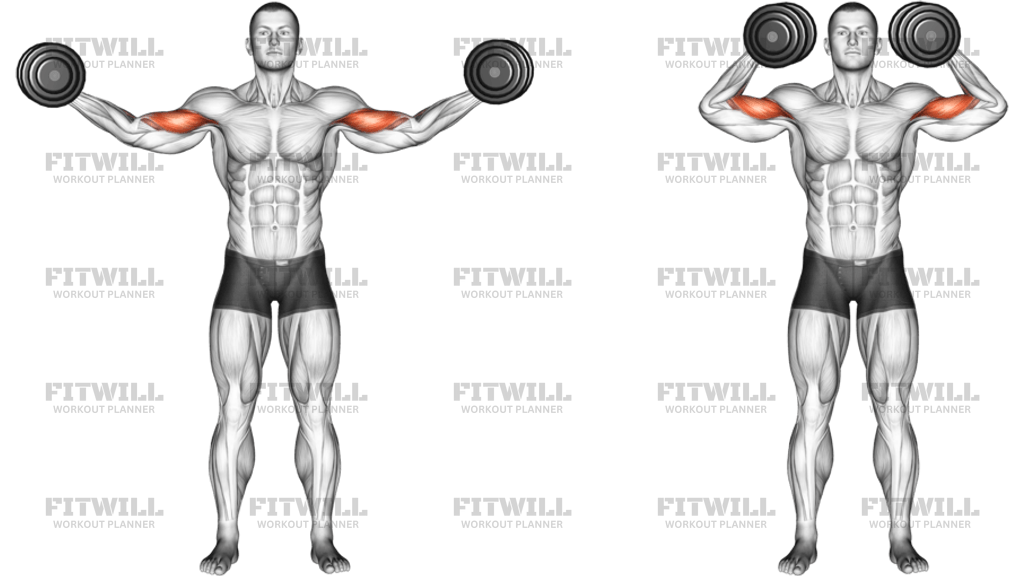 Dumbbell High Curl