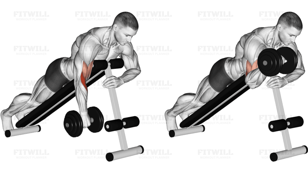 Dumbbell One Arm Reverse Spider Curl