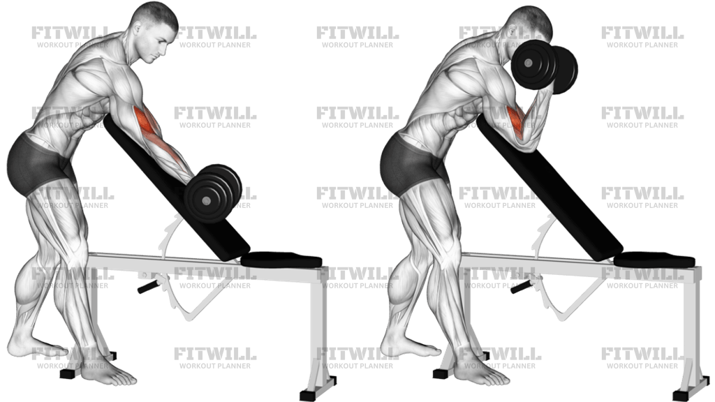 Dumbbell Standing One Arm Curl Over Incline Bench