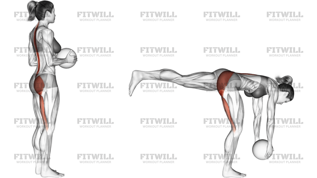 Medicine Ball Single Leg Deadlift