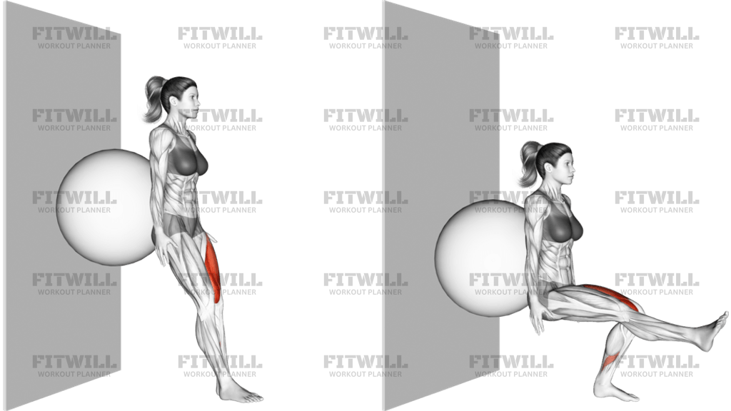 Stability Ball Single Leg Squat