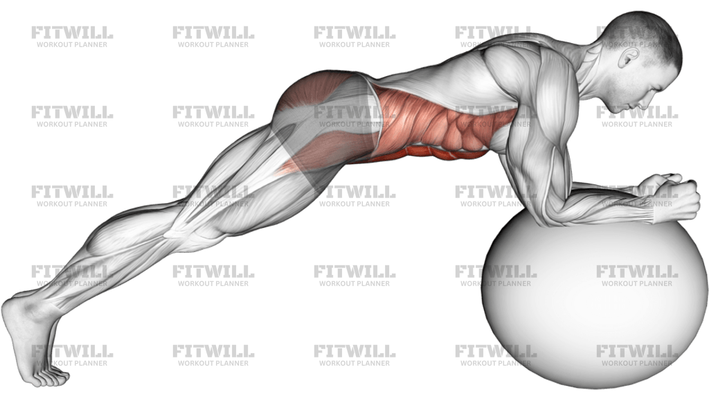 Stability Ball Front Plank