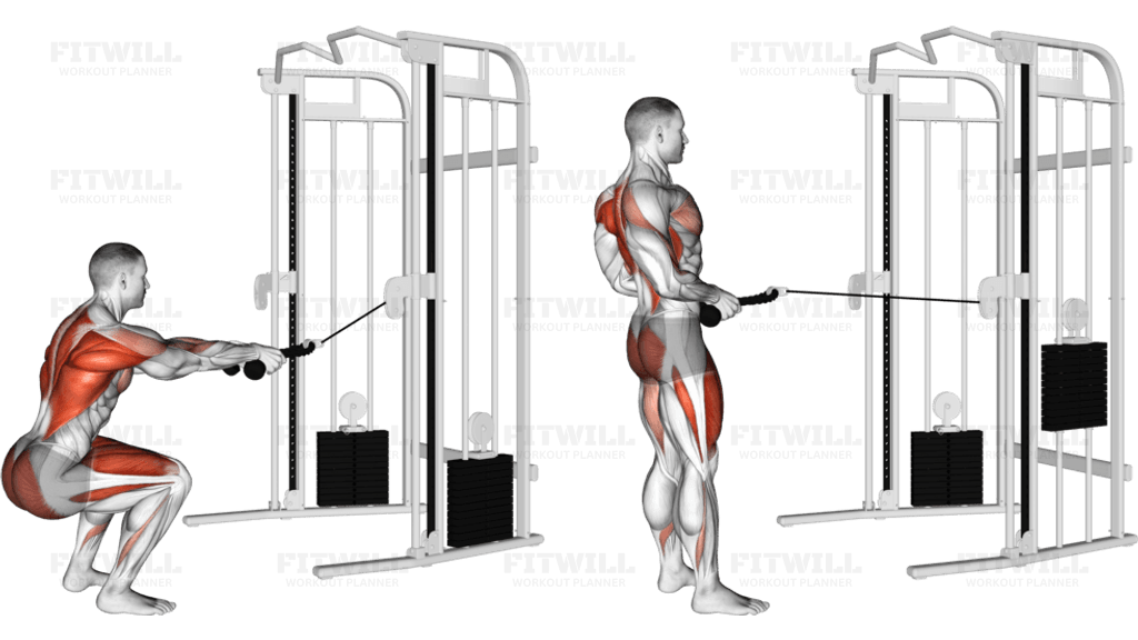 Cable Squat Row (with rope attachment)