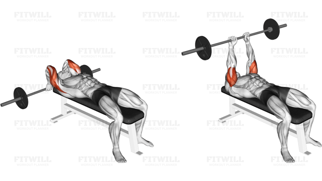 Barbell Lying Triceps Extension