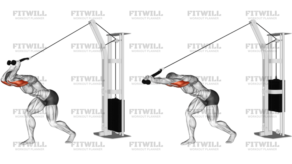 Cable Rope High Pulley Overhead Tricep Extension