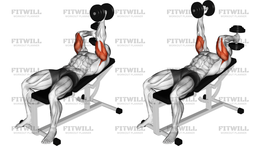 Dumbbell Lying Alternate Extension