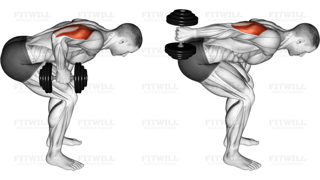 Dumbbell Standing Bent Over One Arm Triceps Extension