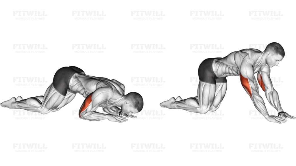 Bodyweight Kneeling Triceps Extension