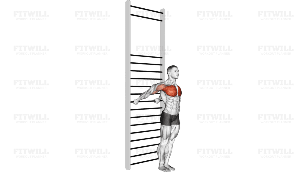 Standing Chest Stretch (with Training Wall Bars)