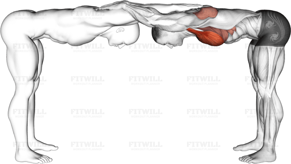 Assisted Trunk Flex Chest Stretch