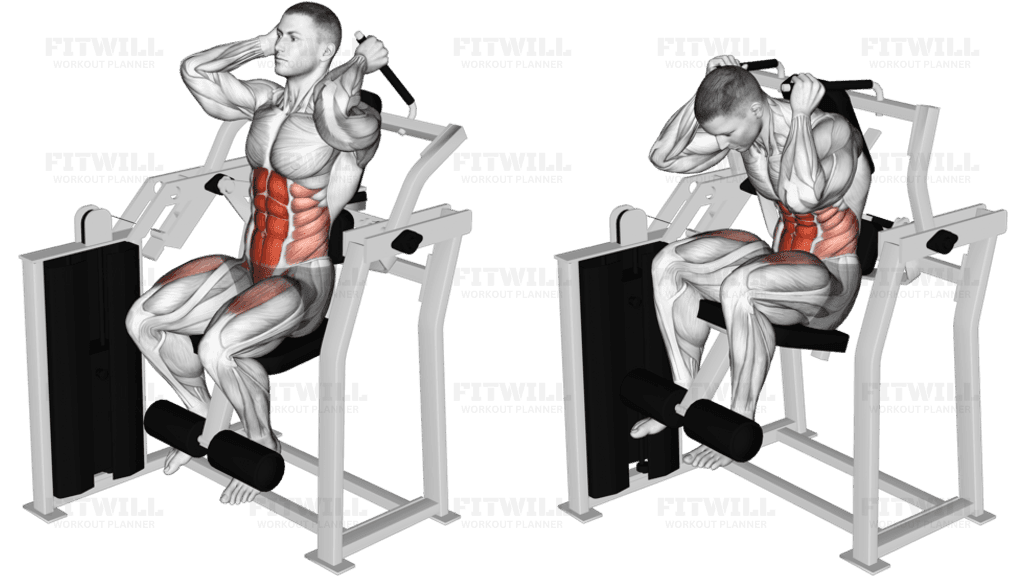 Lever Total Abdominal Crunch