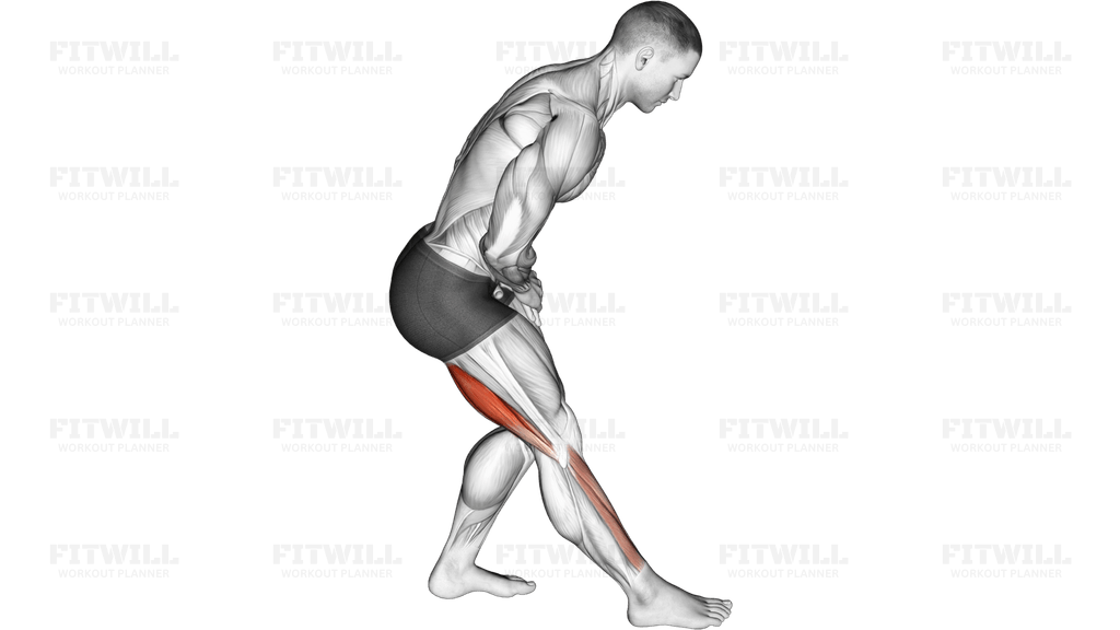Standing Toe Down Hamstring Stretch