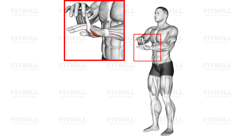 Finger Extension Stretch