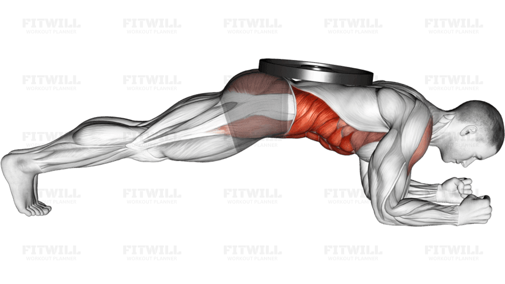 Weighted Front Plank