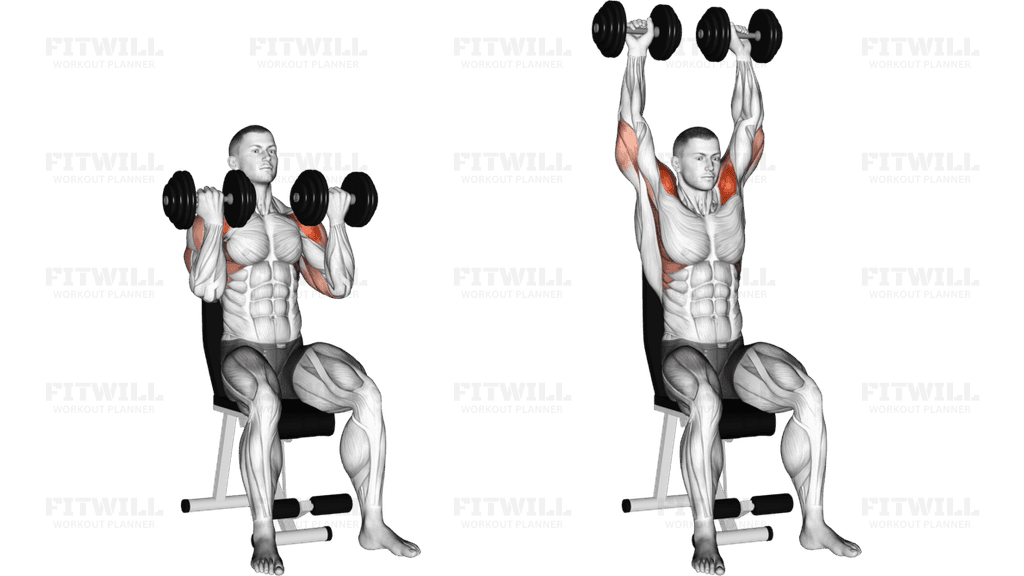 Dumbbell Arnold Press