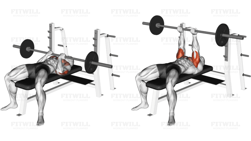 Barbell Reverse Close-grip Bench Press