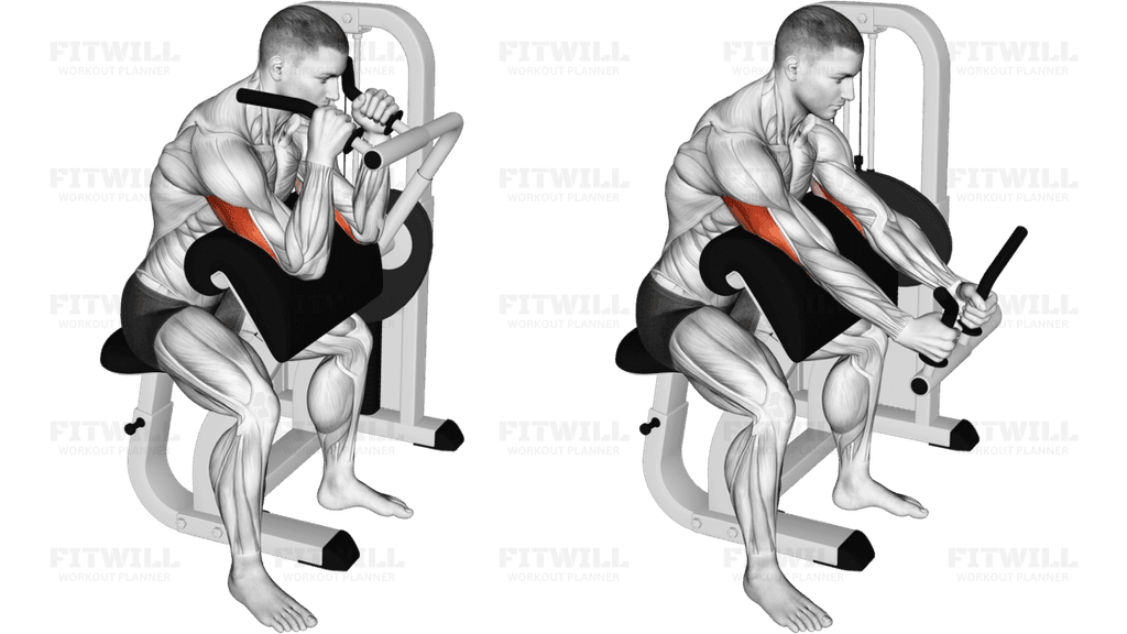 Lever Triceps Extension