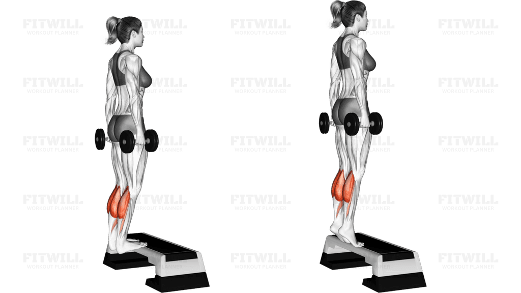 Dumbbell Standing Calf Raise