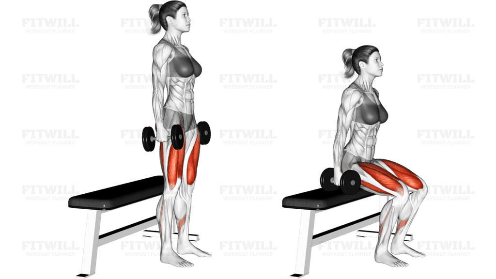 Dumbbell Bench Squat