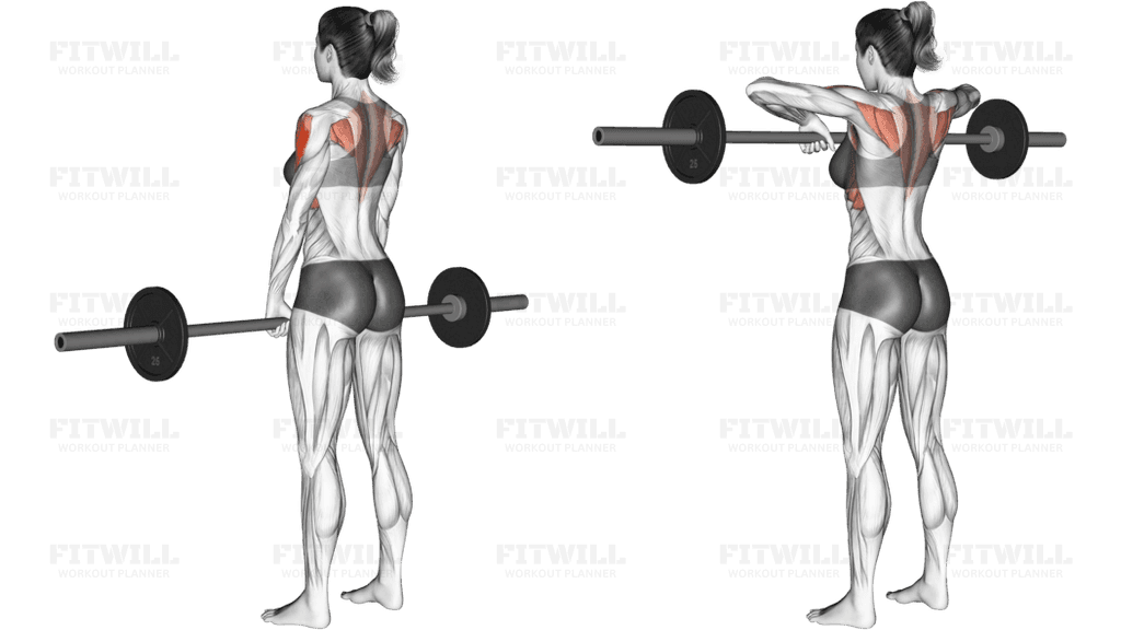 Barbell Upright Row