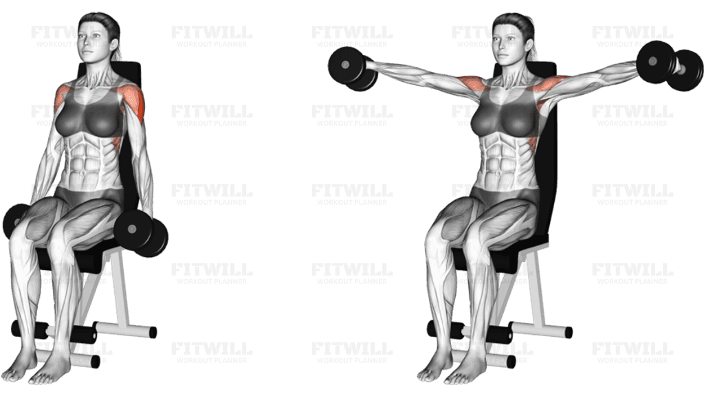 Dumbbell Seated Lateral Raise