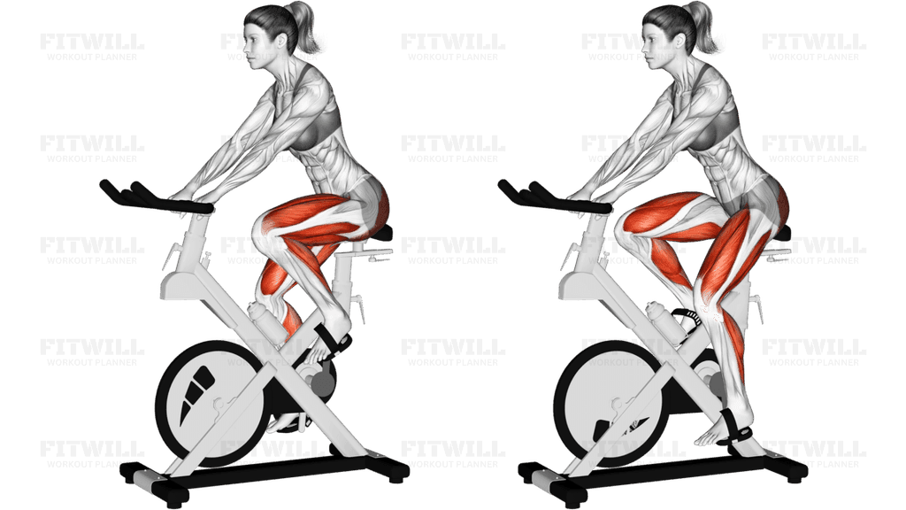 Stationary Bike Run (version 3)