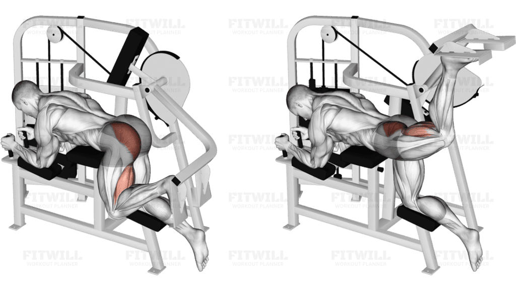 Lever Hip Extension (VERSION 2)