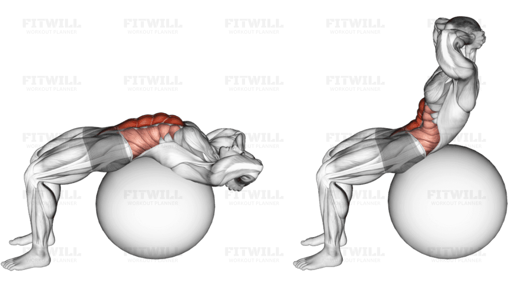 Stability Ball Crunch (Full range hands behind head)