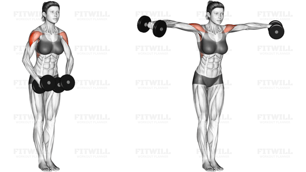 Dumbbell Standing Bent Arm Lateral raise