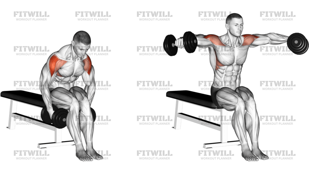 Dumbbell Seated Bent Arm Lateral Raise