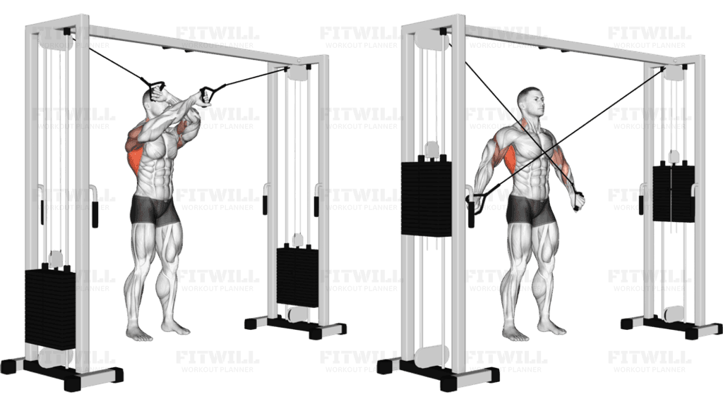 Cable Lat Pulldown Full Range Of Motion