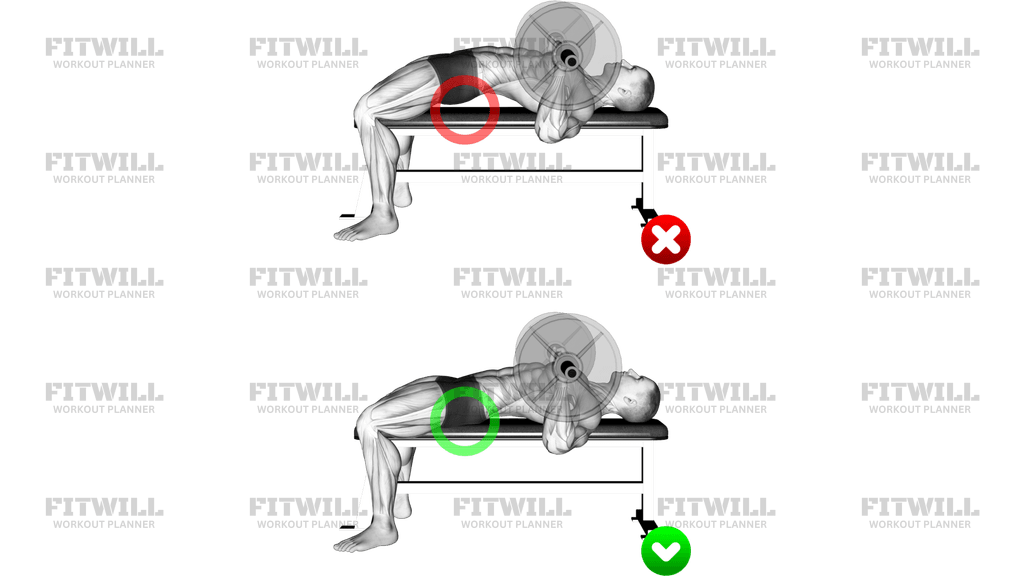 Chest Bench Press - Butt (WRONG-RIGHT)