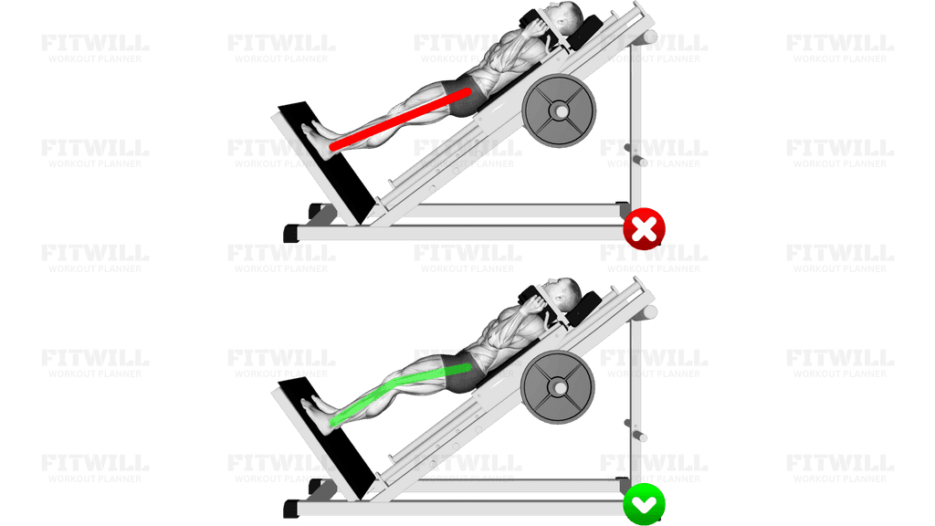 Sled Hack Squat - Legs (WRONG-RIGHT)