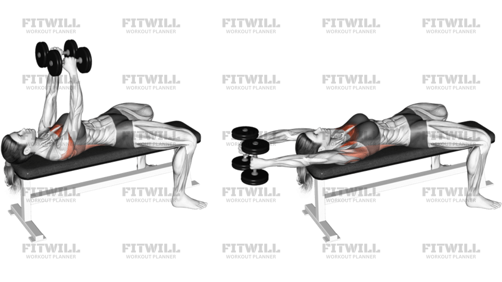 Dumbbells Straight Arm Pullover (VERSION 2)