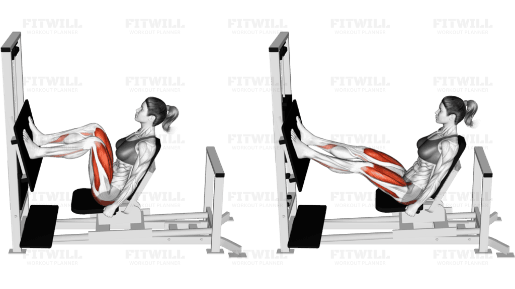 Lever Horizontal Leg Press