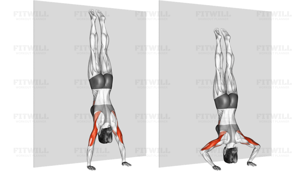 Handstand Push-Up Against The Wall