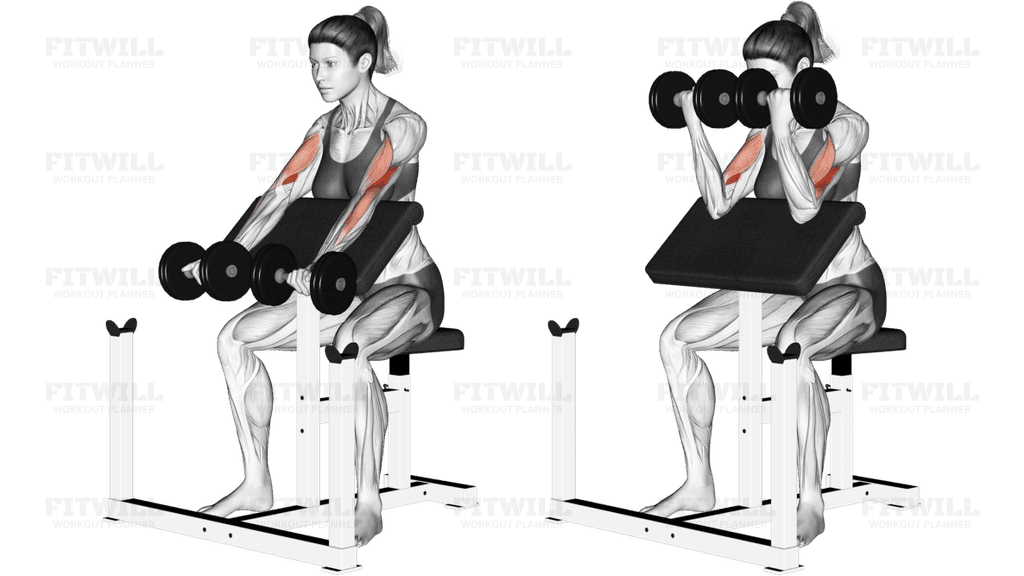 Dumbbell Preacher Curl