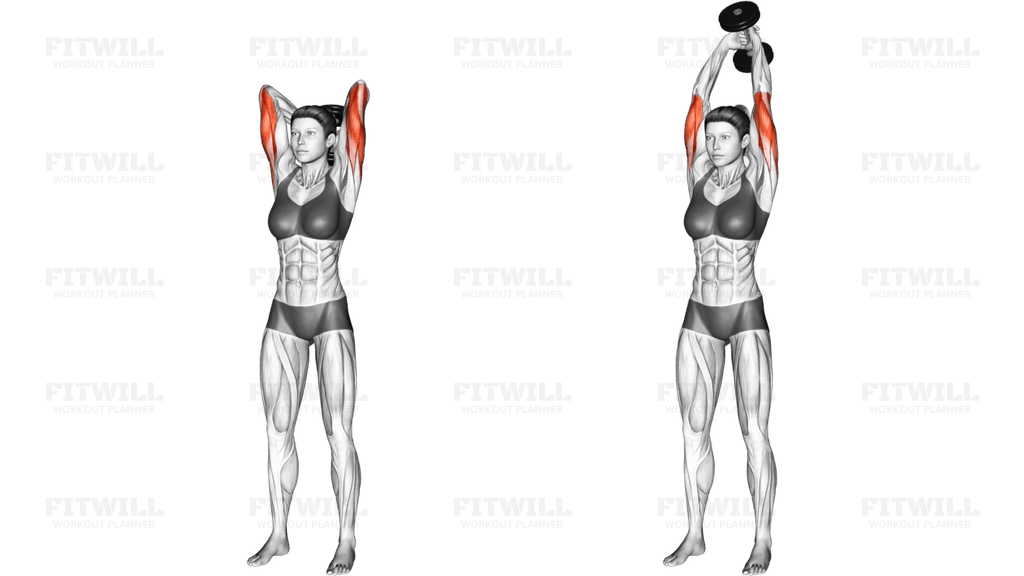 Dumbbell Standing Triceps Extension