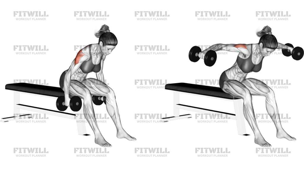 Dumbbell Rear Fly