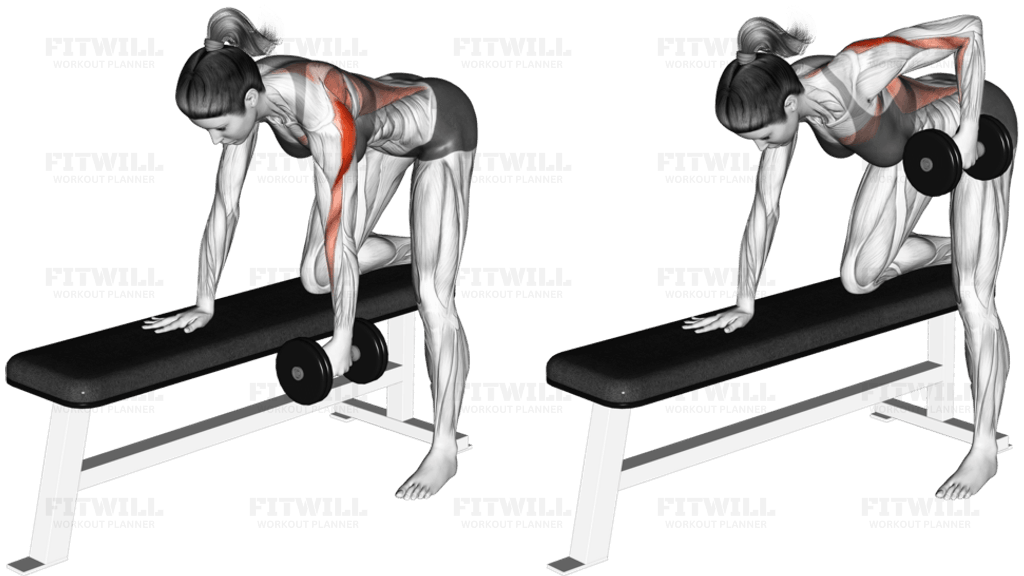 Dumbbell One Arm Bent over Row