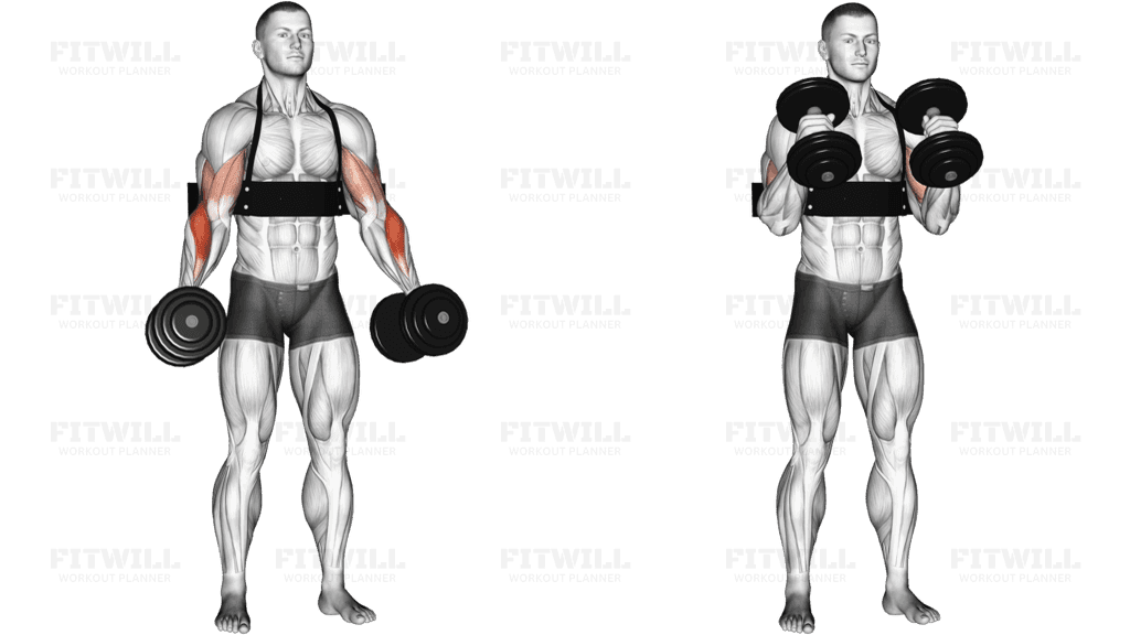 Dumbbell Hammer Curls (with arm blaster)