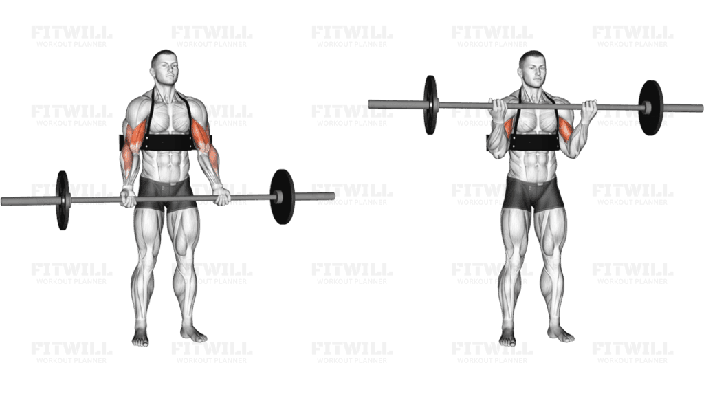 Barbell Biceps Curl (with arm blaster)