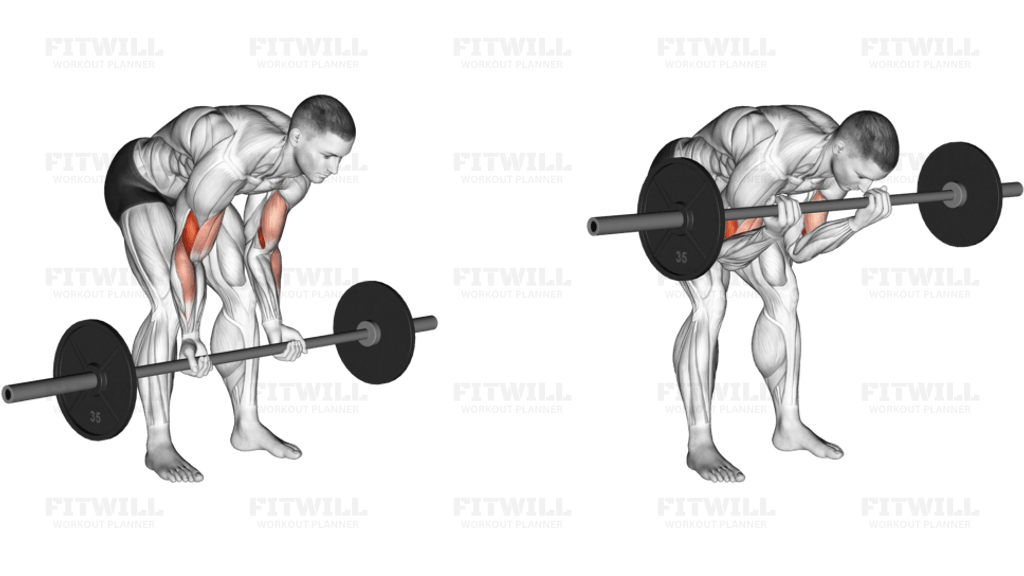 Barbell Standing Concentration Curl