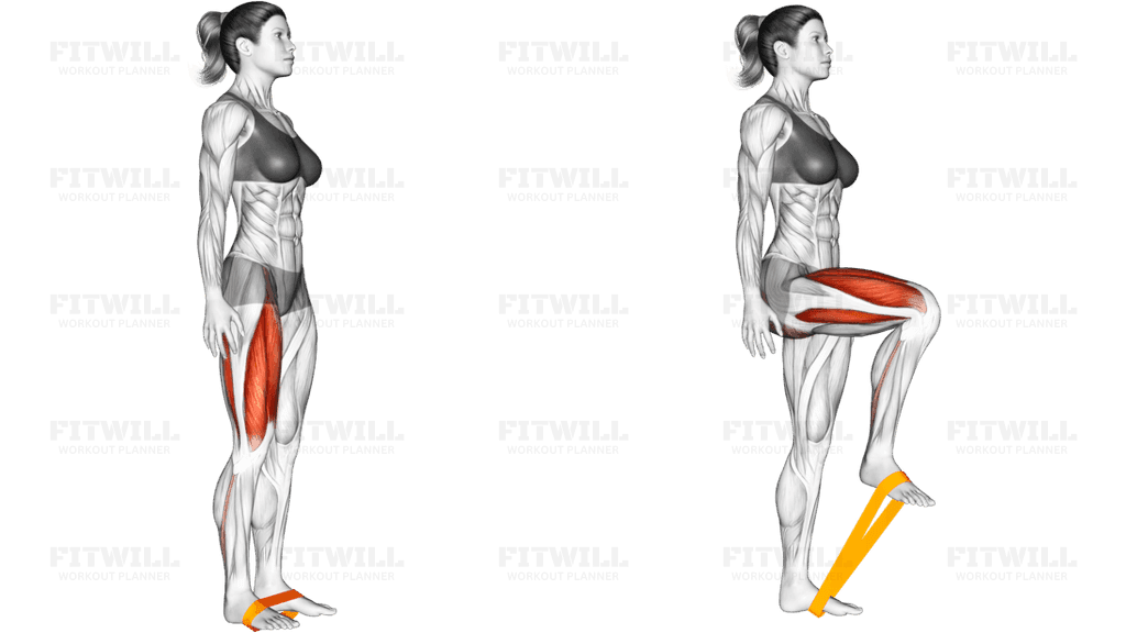 Resistance Band Leg Lift