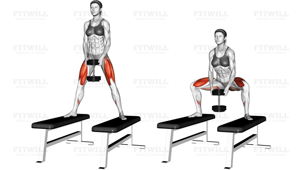 Dumbbell Sumo Squat off Benches