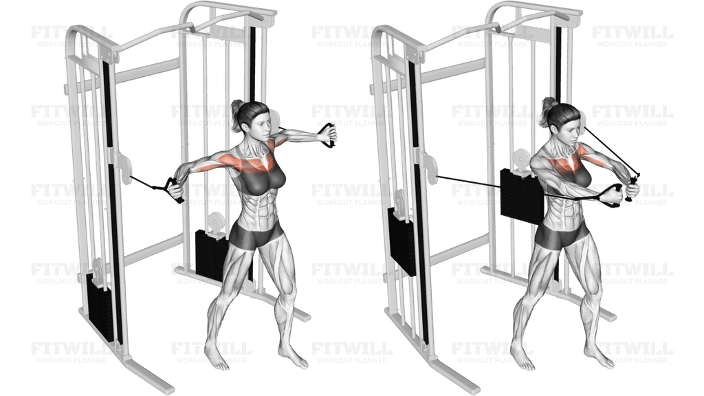 Cable Middle Fly