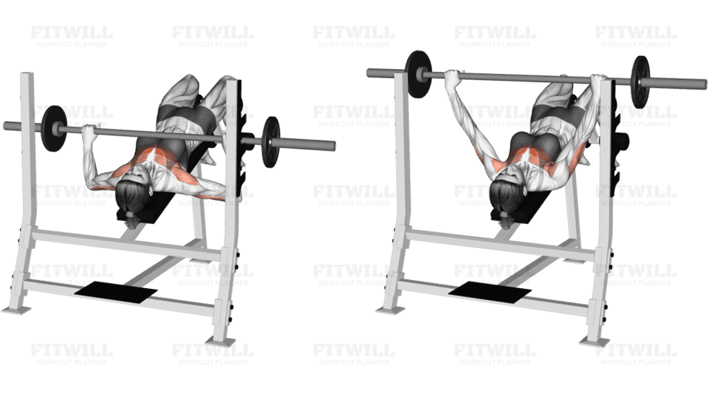 Barbell Decline Bench Press