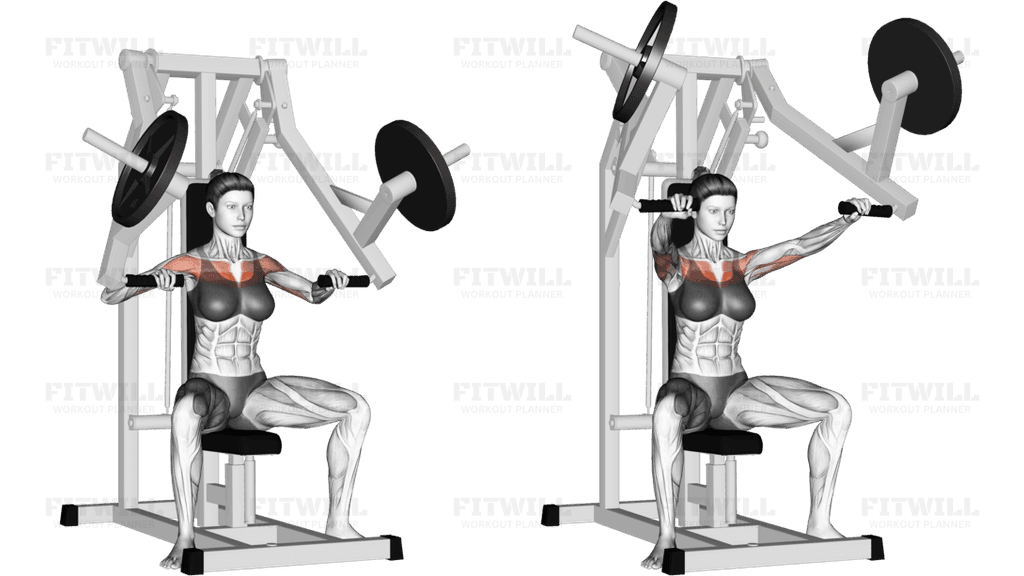 Lever Chest Press (plate loaded)