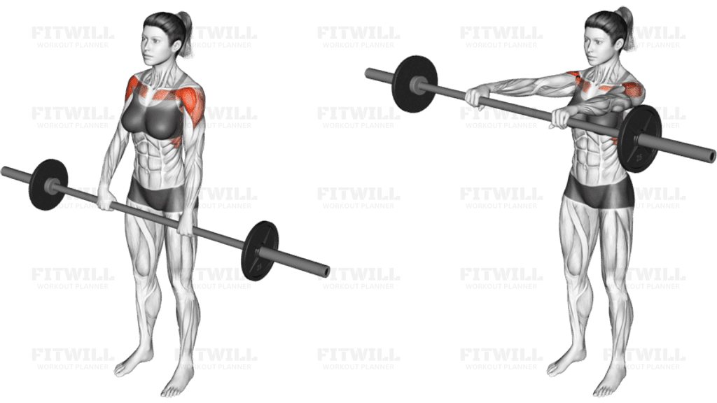 Barbell Front Raise